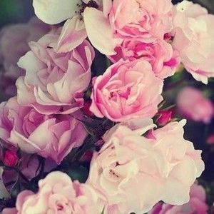 Meet your Posher, Jenni